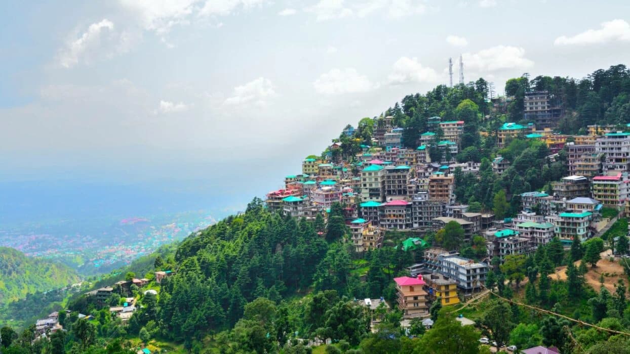 Dharamshala, Himachal Pradesh — Monastery-adjacent, serene, smaller-scale celebrations.