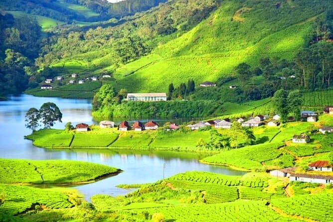 Thekkady, Kerala — Forest-reserve retreats for small, private gatherings.